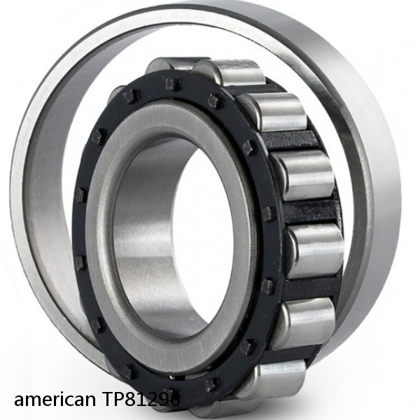 american TP81296 CYLINDRICAL ROLLER BEARING