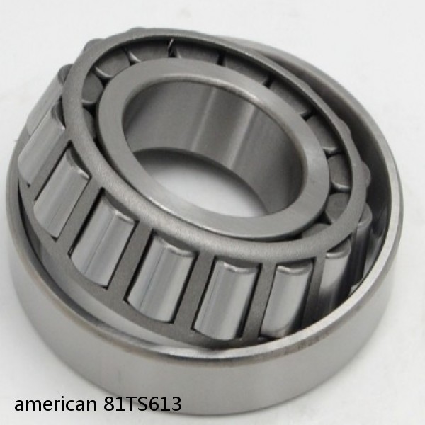 american 81TS613 SINGLE ROW TAPERED ROLLER BEARING