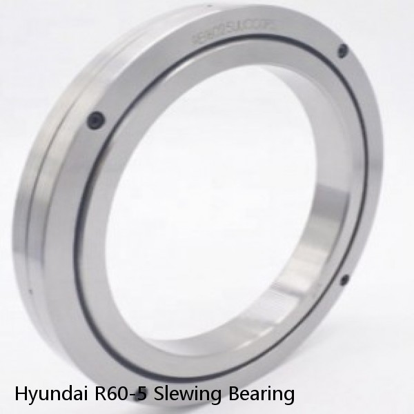 Hyundai R60-5 Slewing Bearing