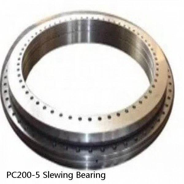 PC200-5 Slewing Bearing