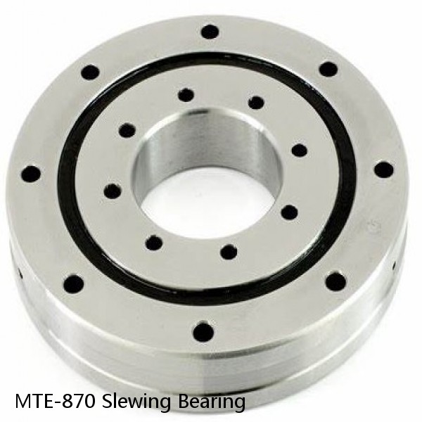 MTE-870 Slewing Bearing