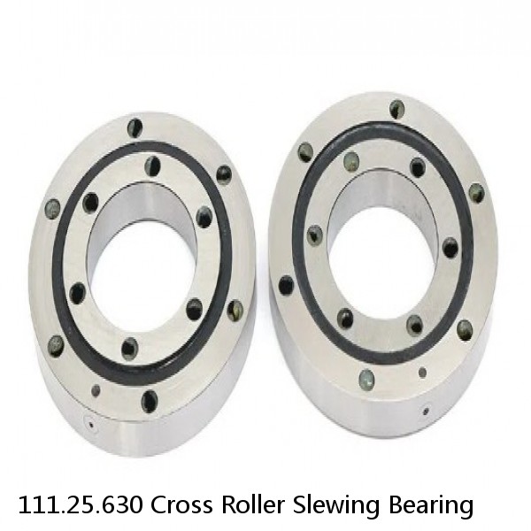 111.25.630 Cross Roller Slewing Bearing