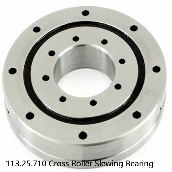 113.25.710 Cross Roller Slewing Bearing