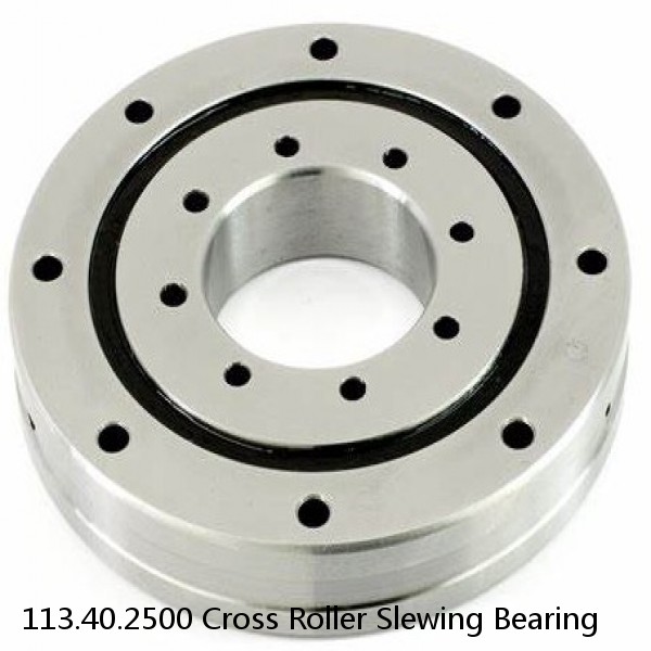 113.40.2500 Cross Roller Slewing Bearing