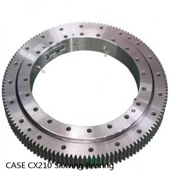 CASE CX210 Slewing Bearing