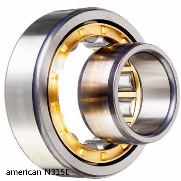 american N315E SINGLE ROW CYLINDRICAL ROLLER BEARING