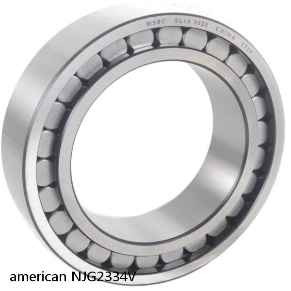 american NJG2334V FULL SINGLE CYLINDRICAL ROLLER BEARING