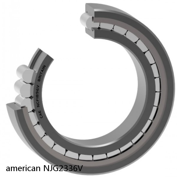 american NJG2336V FULL SINGLE CYLINDRICAL ROLLER BEARING