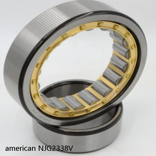 american NJG2338V FULL SINGLE CYLINDRICAL ROLLER BEARING