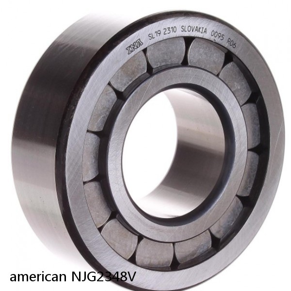 american NJG2348V FULL SINGLE CYLINDRICAL ROLLER BEARING