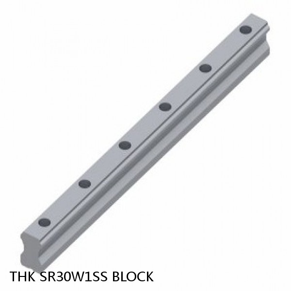 SR30W1SS BLOCK THK Linear Bearing,Linear Motion Guides,Radial Type LM Guide (SR),SR-W Block