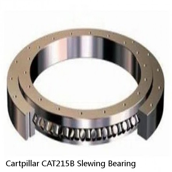 Cartpillar CAT215B Slewing Bearing