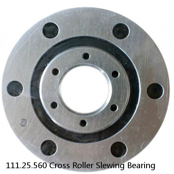 111.25.560 Cross Roller Slewing Bearing