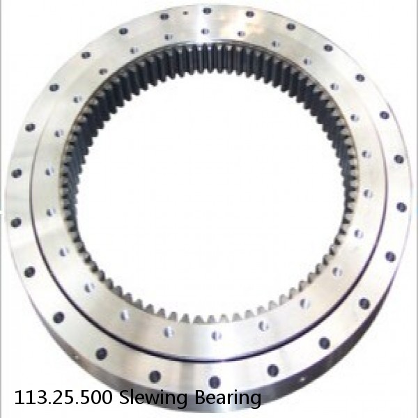 113.25.500 Slewing Bearing